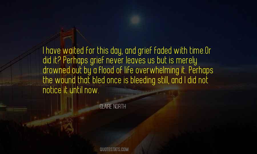 Grief Time Quotes #1779480