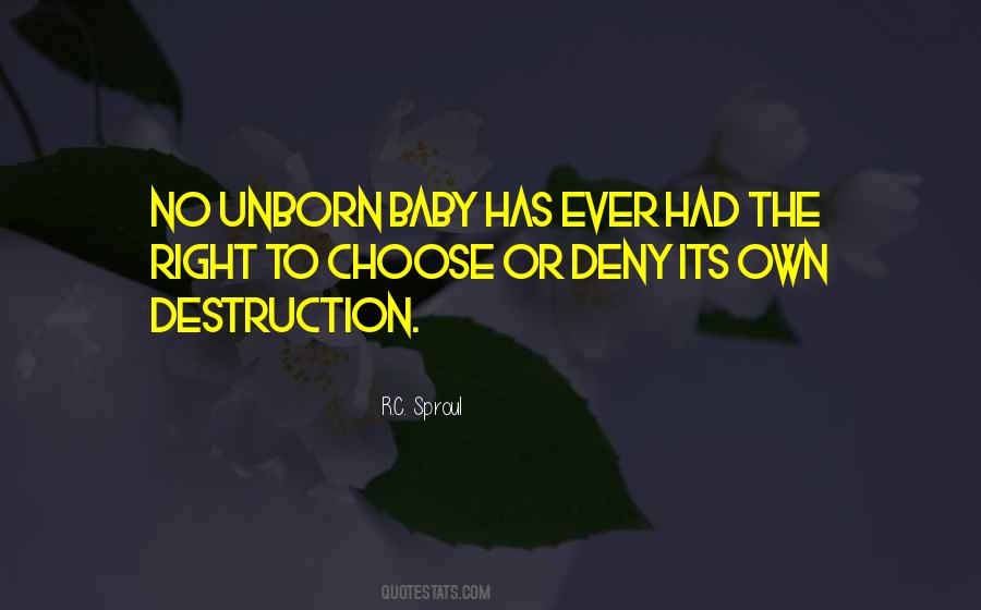 Its Baby Quotes #208818