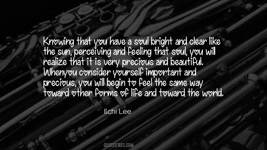 Sun Soul Quotes #1853364