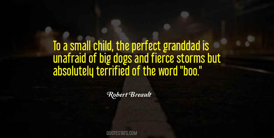 Small Word Quotes #1681187