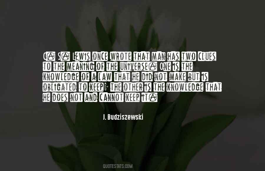 Other Meaning Quotes #1088380