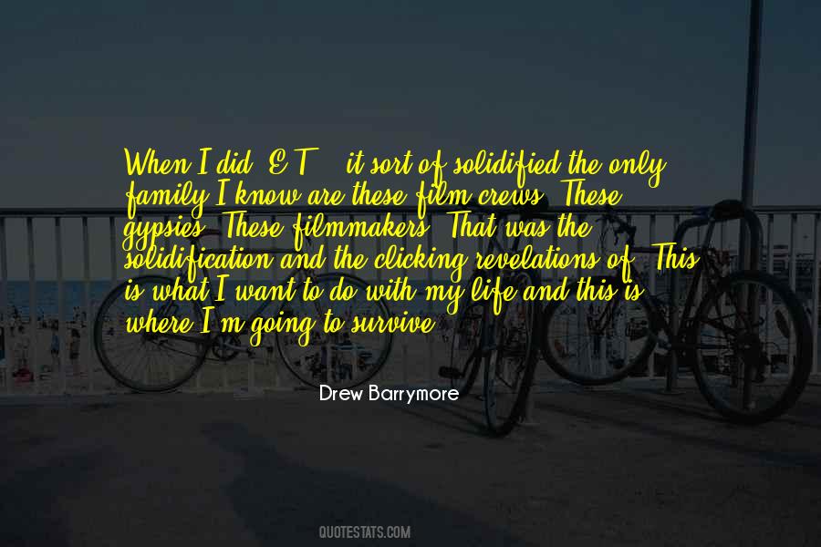 Going With Life Quotes #492335