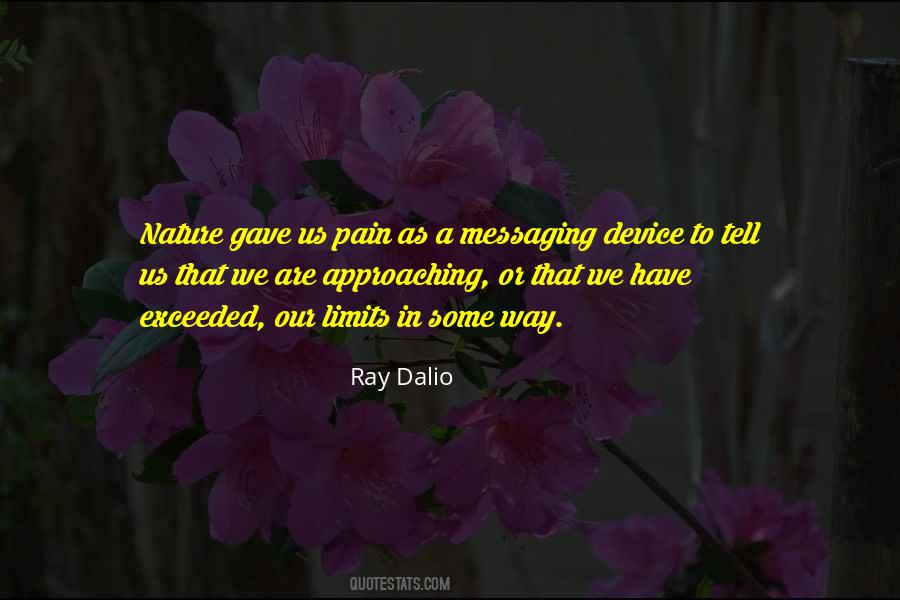 We All Have Our Limits Quotes #32637
