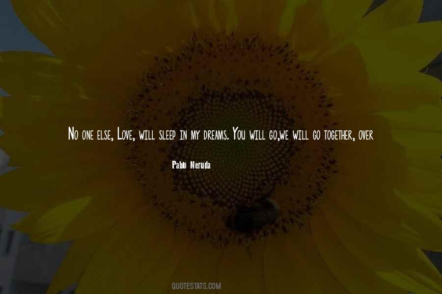 My Dreams With You Quotes #1000169