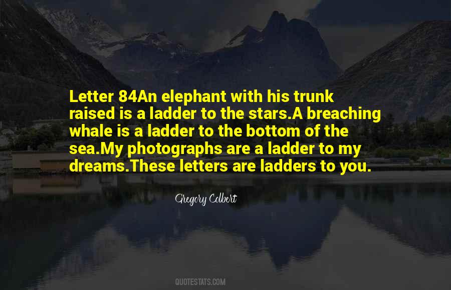 My Dreams With You Quotes #551112