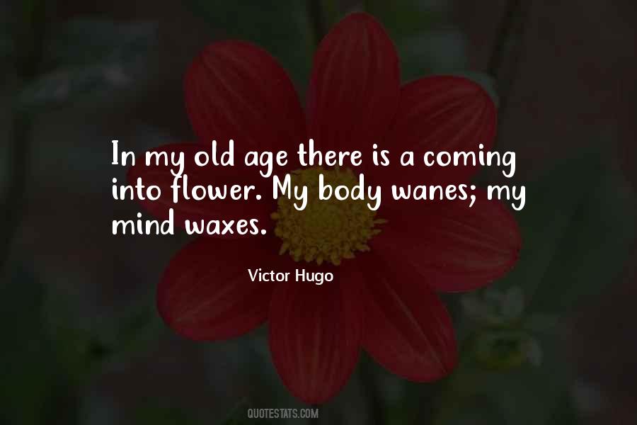 Old Flower Quotes #762494