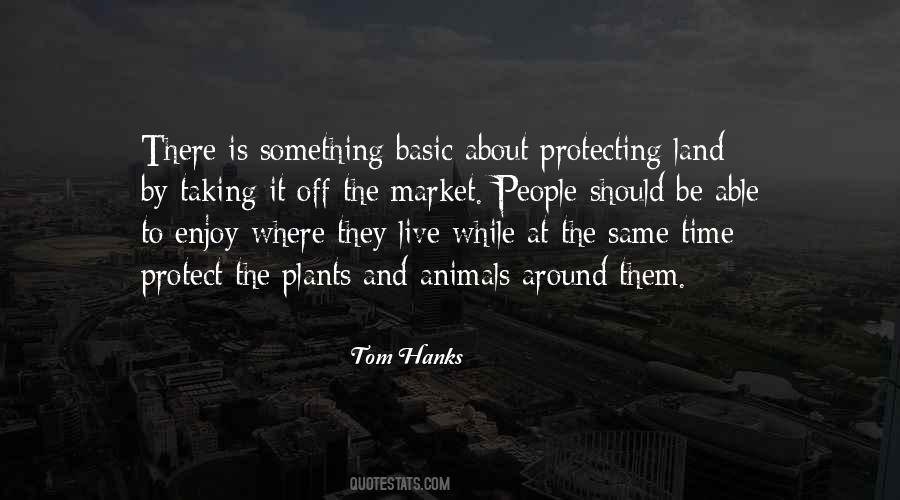 Time The Market Quotes #1577041