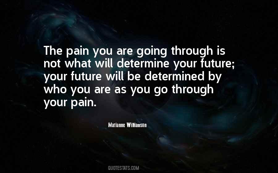 Quotes About Going Through Pain #278380