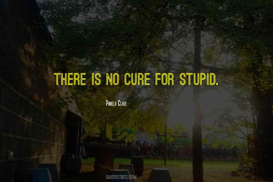 No Cure For Quotes #1613264