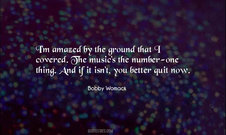 If I Quit Quotes #539391