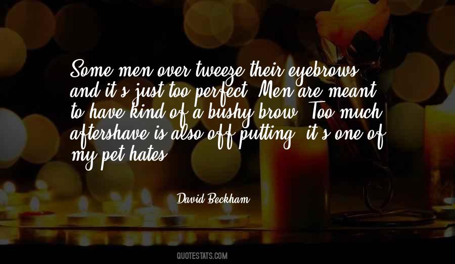My Perfect One Quotes #890525
