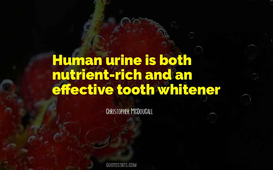 Teeth Tooth Quotes #1369238