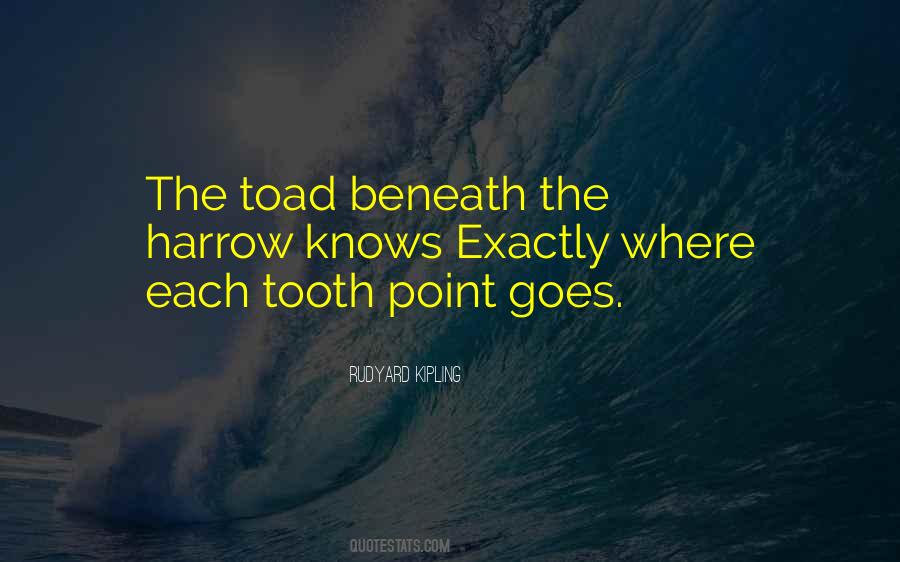 Teeth Tooth Quotes #743584