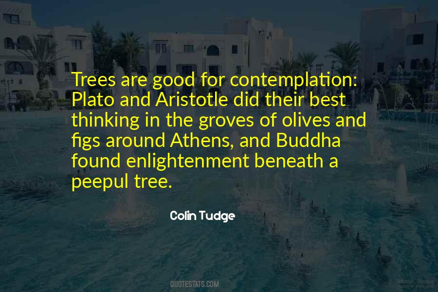 Best Tree Quotes #910039