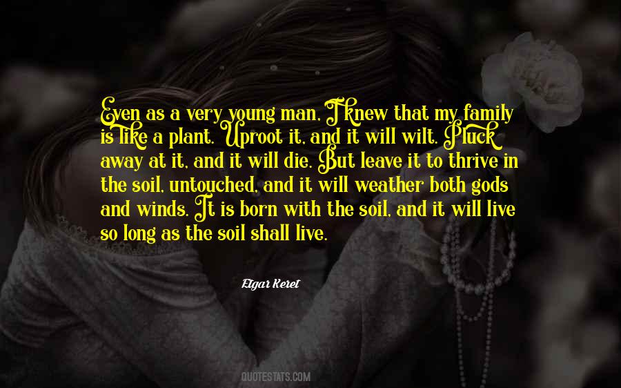 My Plant Quotes #1205912