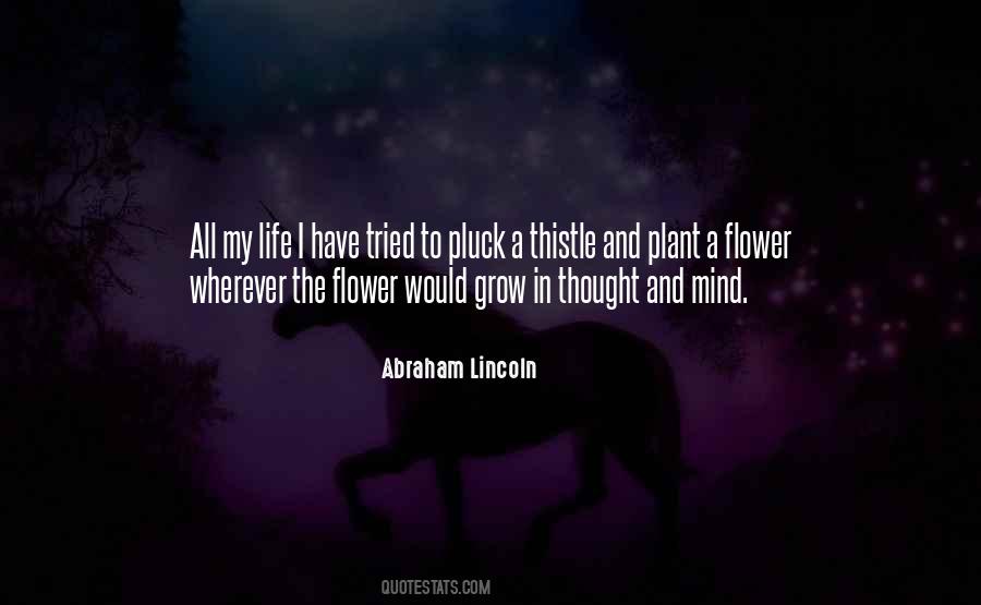 My Plant Quotes #773203