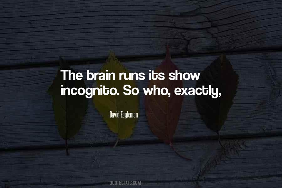 Quotes About Going Incognito #1140913