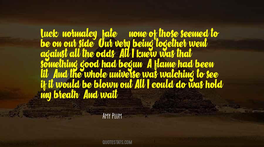 Hold On To Something Quotes #1183626