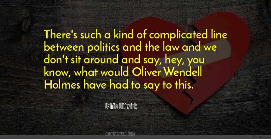Law And Politics Quotes #891819