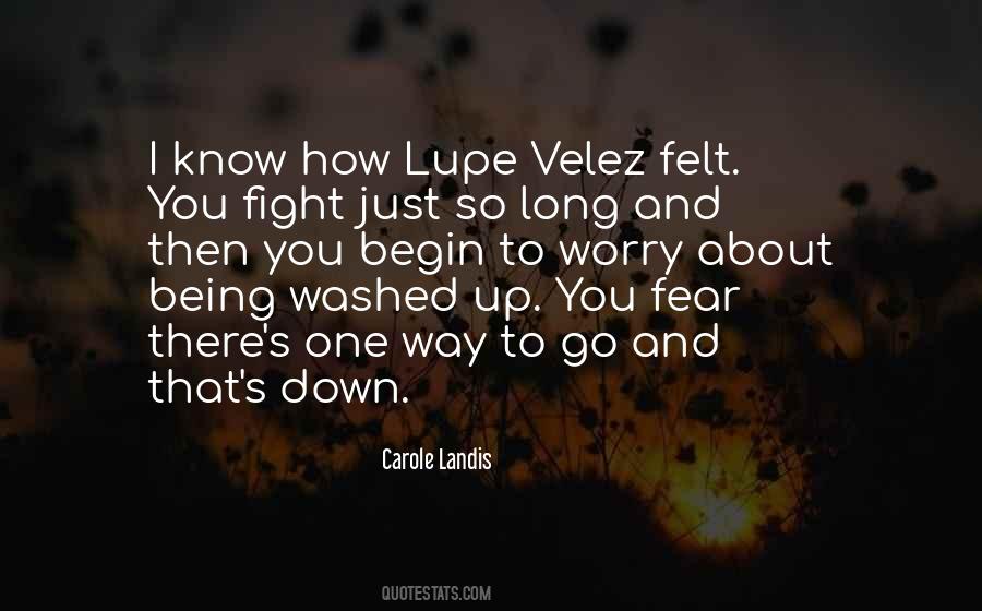 Quotes About Going Down Fighting #428877