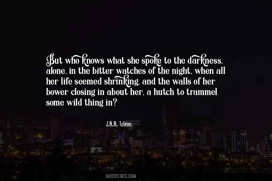 Alone In The Darkness Quotes #621520