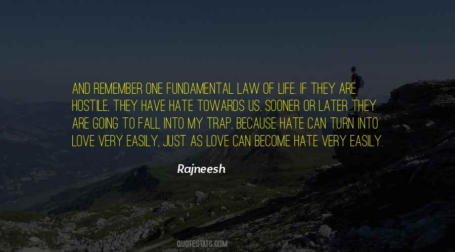 Love Can Turn To Hate Quotes #350114