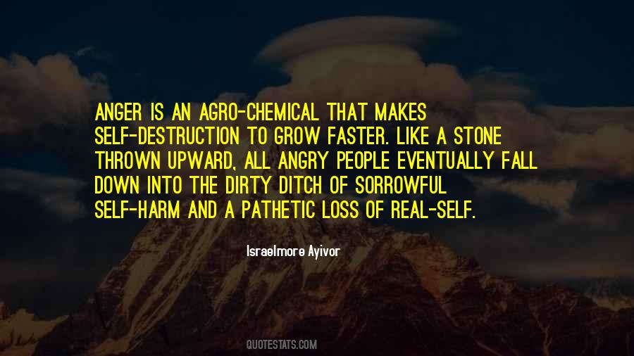 Anger Loss Quotes #1318823