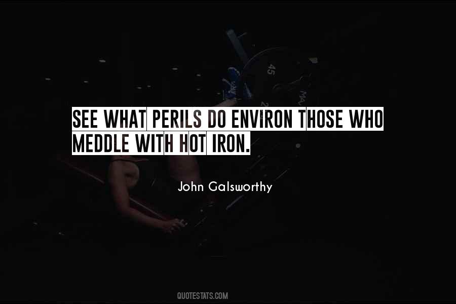 Hot Iron Quotes #1528866