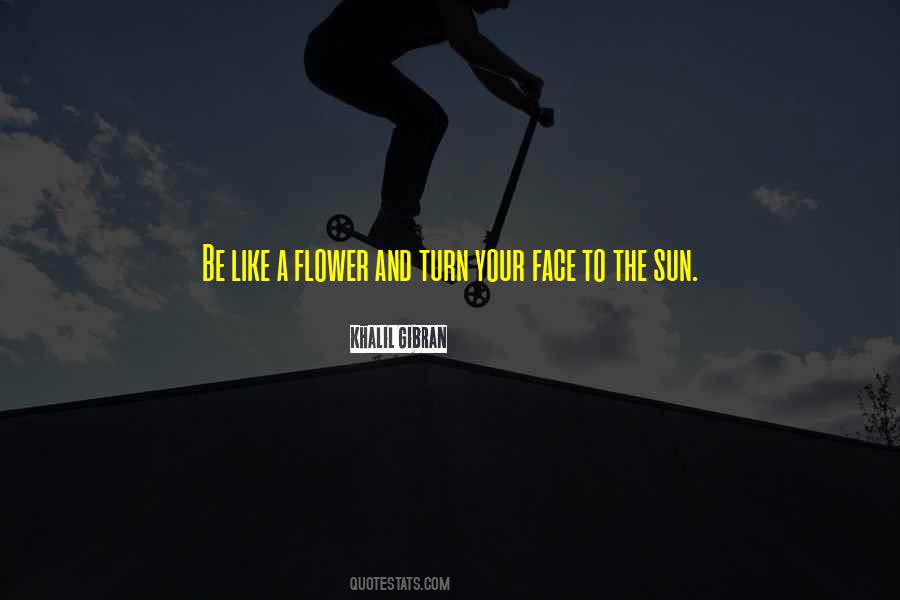 Like Sun Quotes #87547