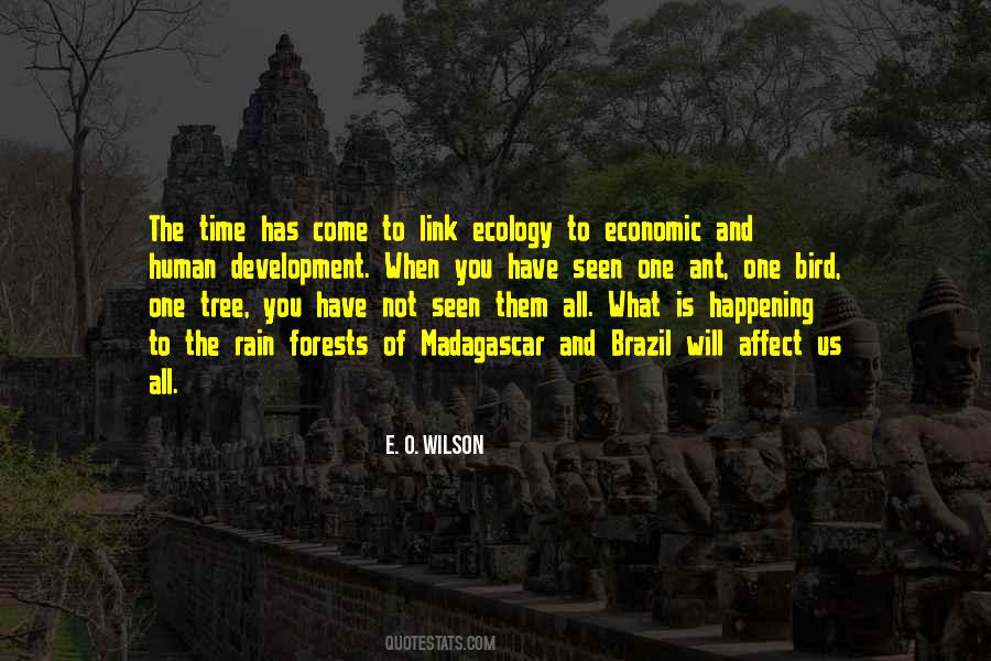 Quotes About Development Of Economic #1586377