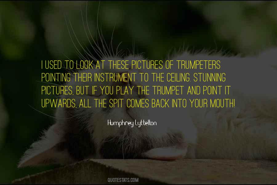Point Of You Quotes #329597