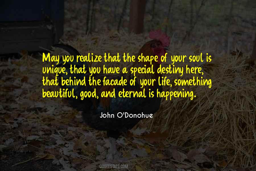 Shape Your Destiny Quotes #636879