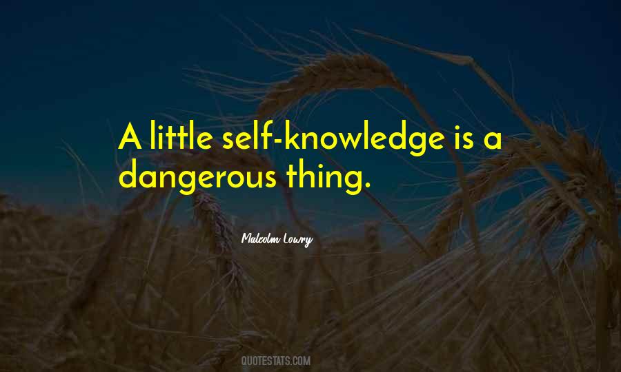 A Little Knowledge Is Dangerous Quotes #1349719