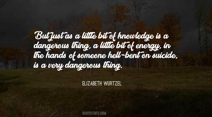 A Little Knowledge Is Dangerous Quotes #1711524