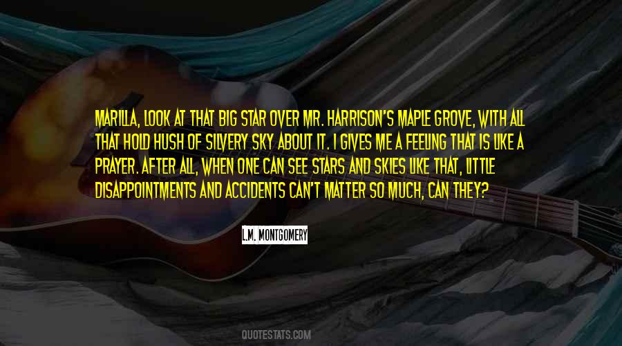 Hold Up The Sky Quotes #1037278