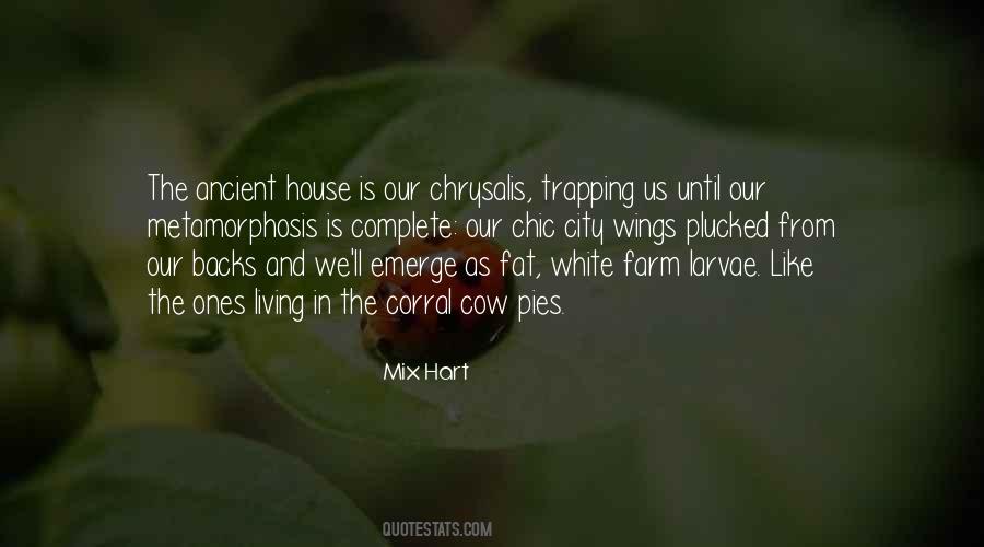Farm City Quotes #770216