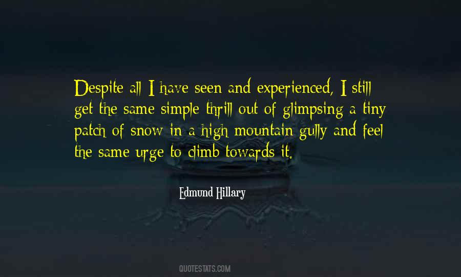 Climb A Mountain Quotes #322759