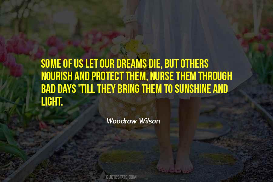 Protect Your Dreams Quotes #1350254