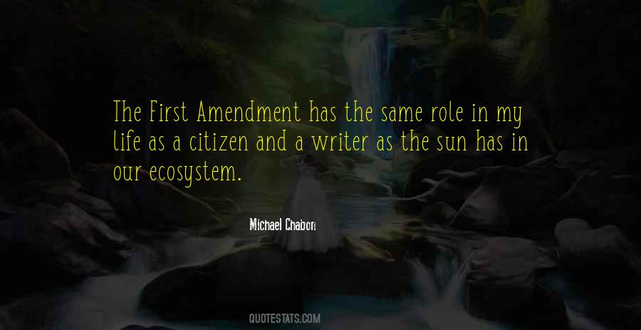 Quotes About The First Amendment #153424