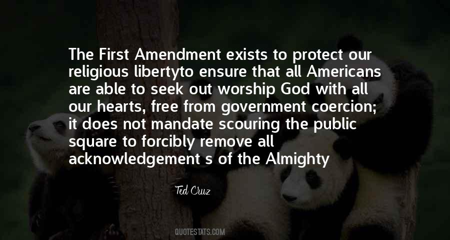Quotes About The First Amendment #530807