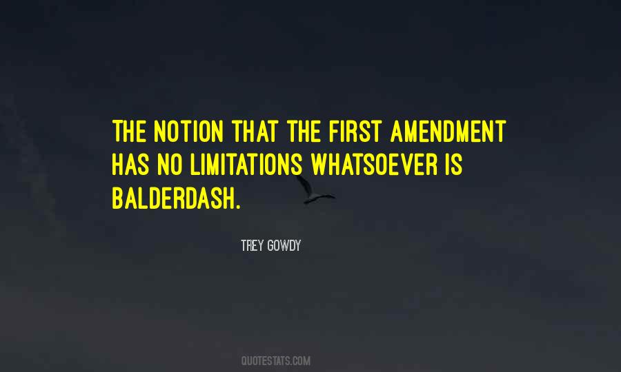 Quotes About The First Amendment #873108