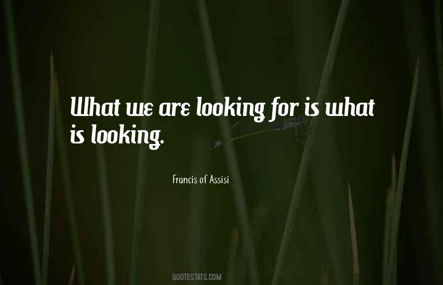 What Is Looking Quotes #276476