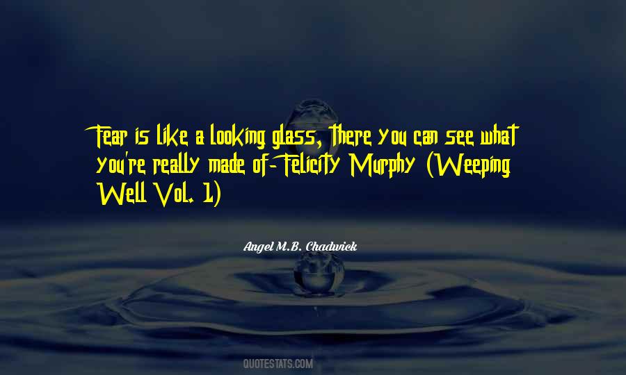 What Is Looking Quotes #494577