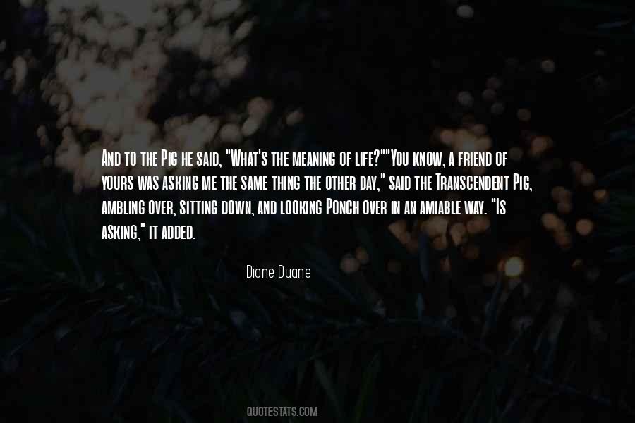 What Is Looking Quotes #923952