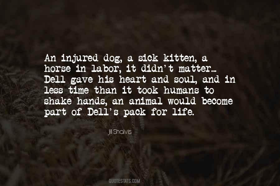 Sick Animal Quotes #180213