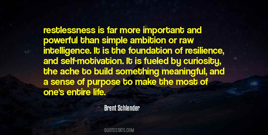 Intelligence Without Ambition Quotes #1566733