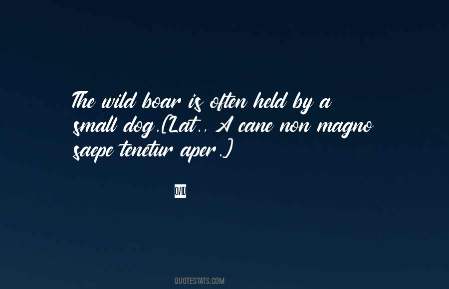 Power Of The Dog Quotes #631007
