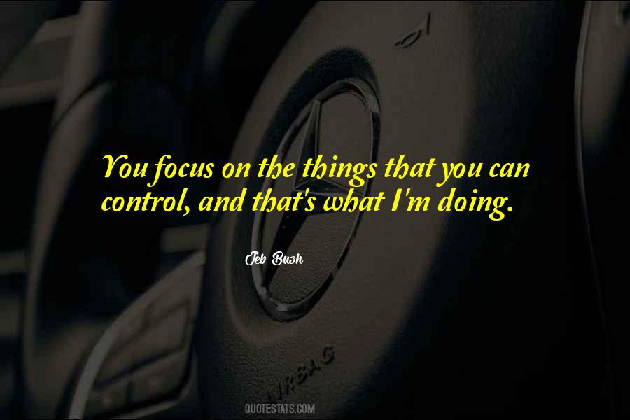 Control The Things You Can Control Quotes #107899