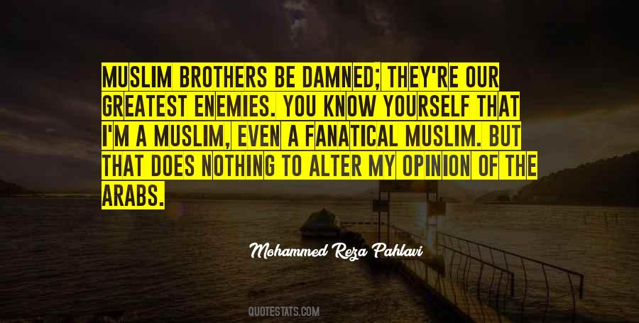 Brother Enemy Quotes #1012062