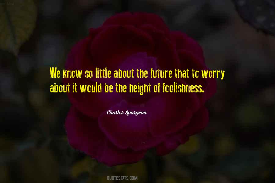 Worry About The Future Quotes #1560137